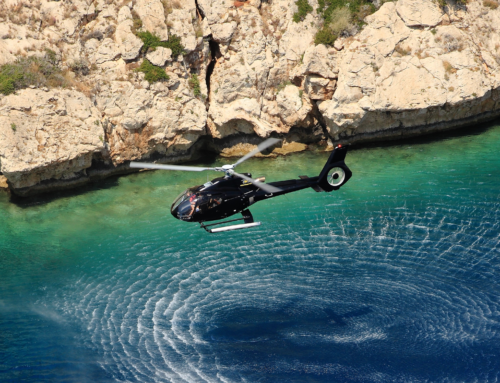 Panoramic flight